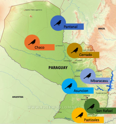 Paraguay regions for birdwatching