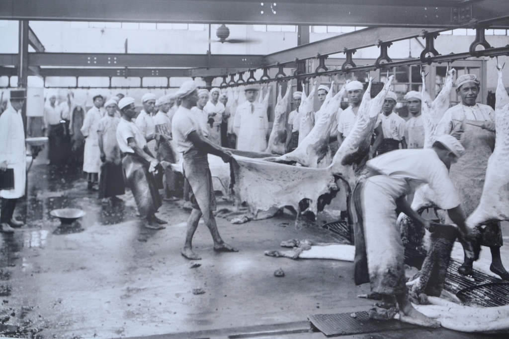 Anglo Meat Packing Plant, Uruguay