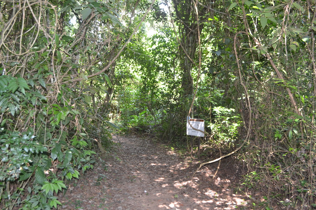 Mbaracayu Nature Reserve