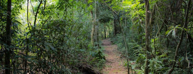 San Rafael Nature Reserve, Paraguay