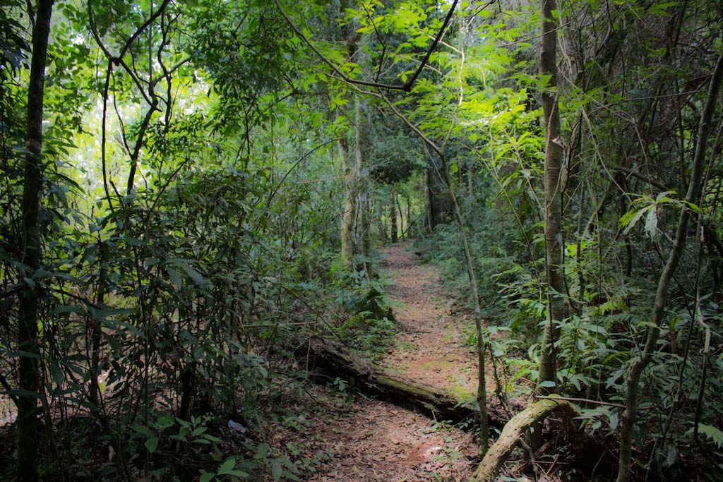 San Rafael National Park