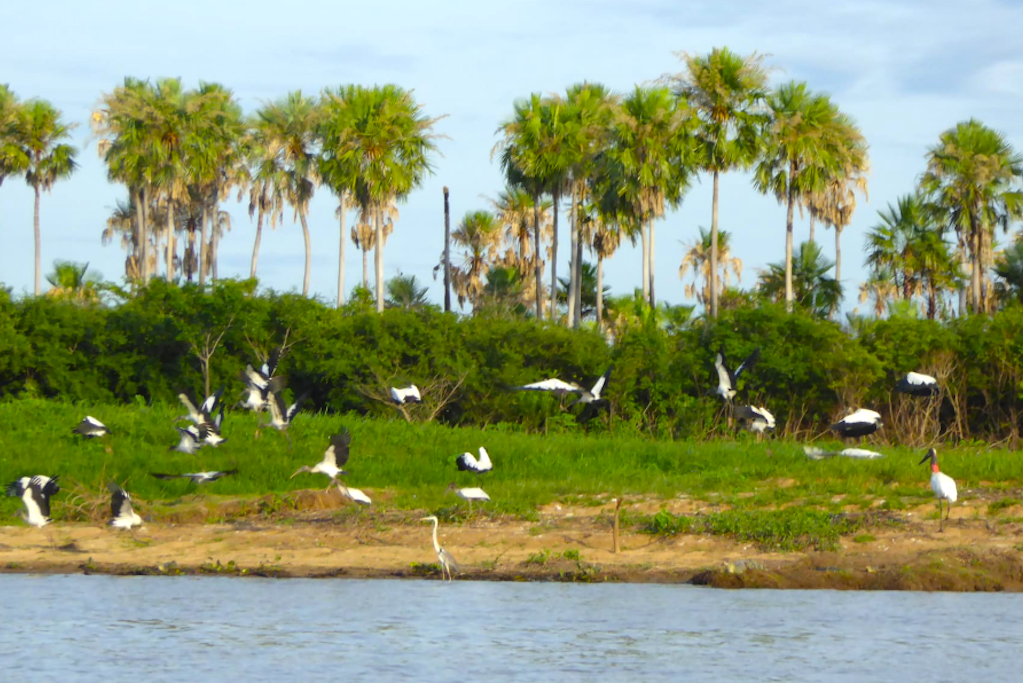 Chaco Paraguay