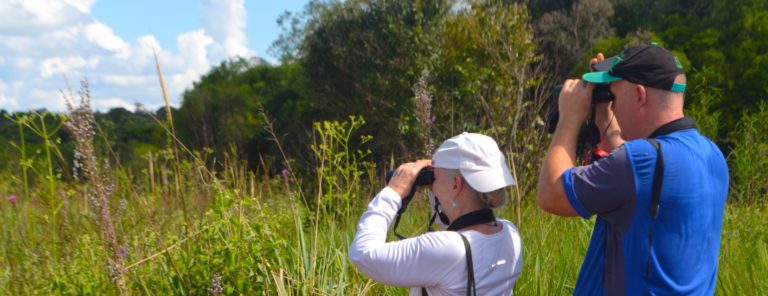 Birdwatching Paraguay