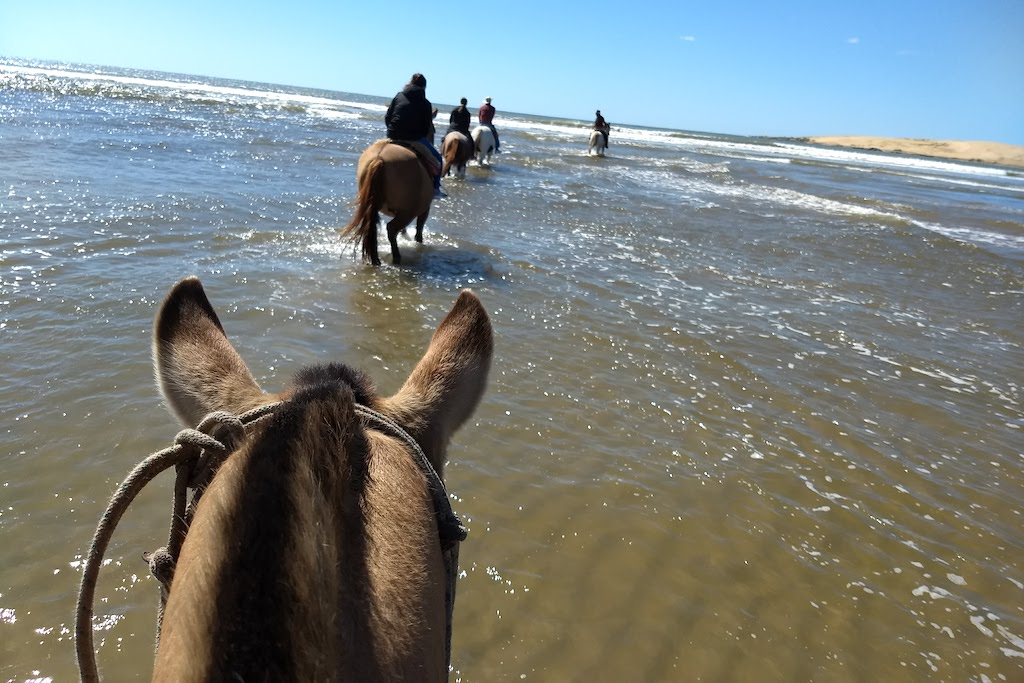 Horseback riding on the beach from Valizas to Cabo Polonio