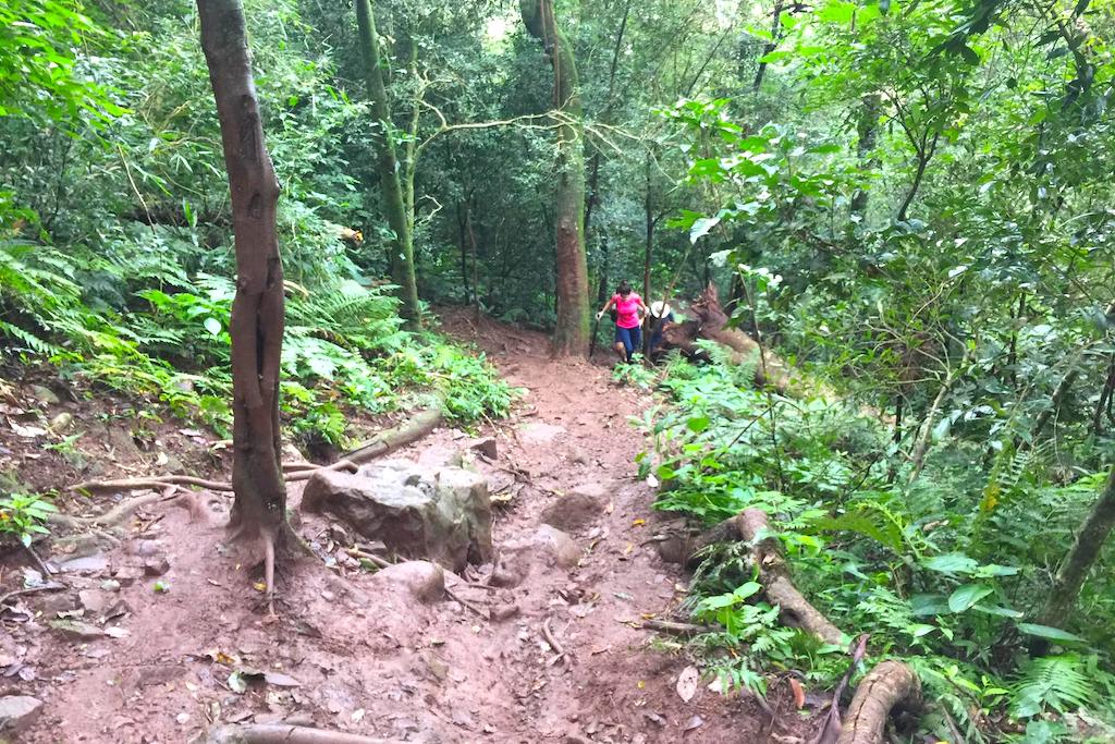 Cerro Tres Kandu Trail
