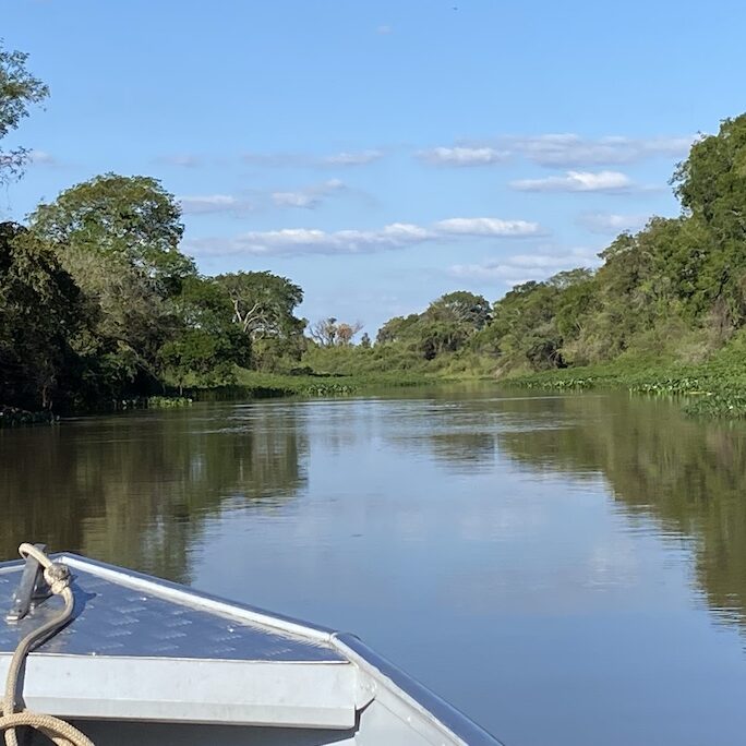 nature river boat ride