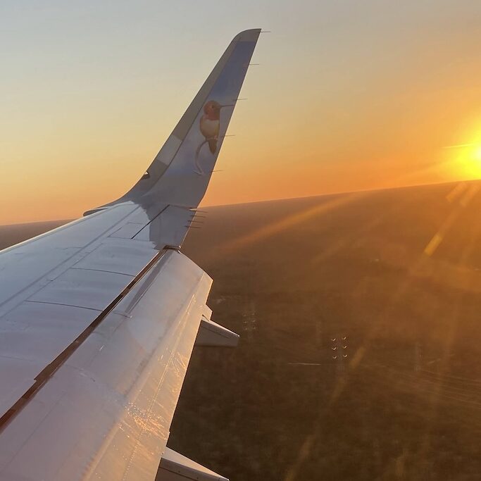 airplane in flight