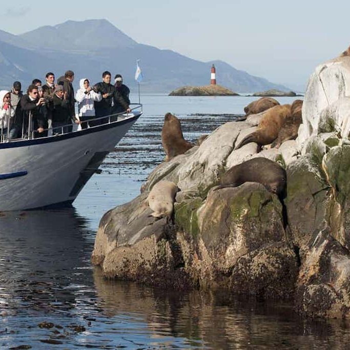 Beagle Channel Boat Tour